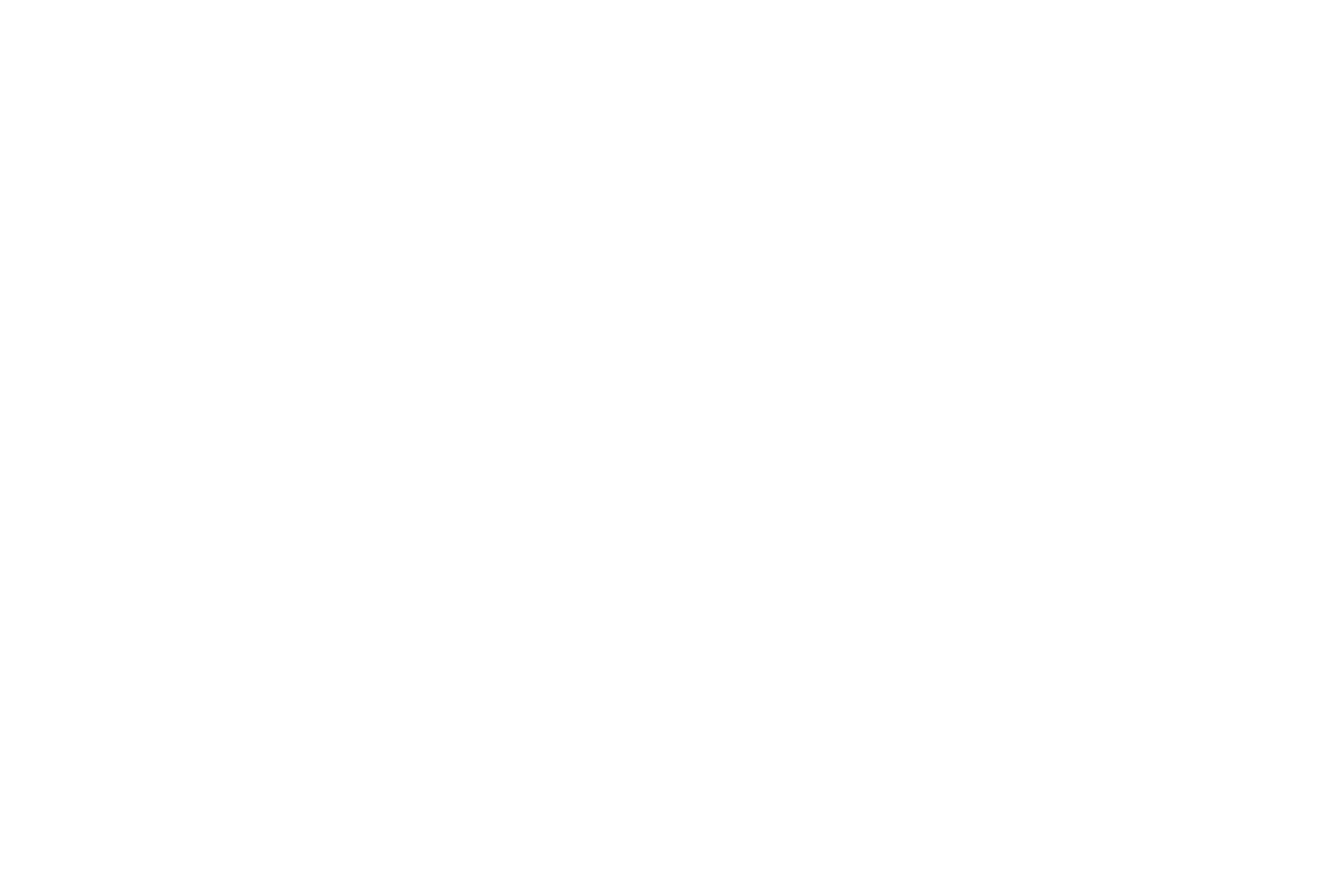 Siberian Storm — fitness race
